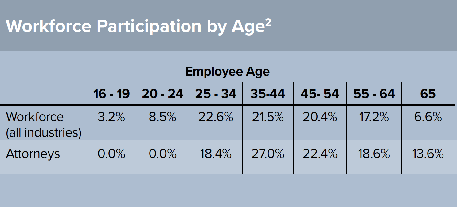 Workforce Participation Graph.png